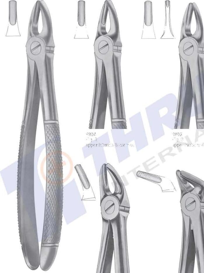 Extracting Forceps – thrushintl.com
